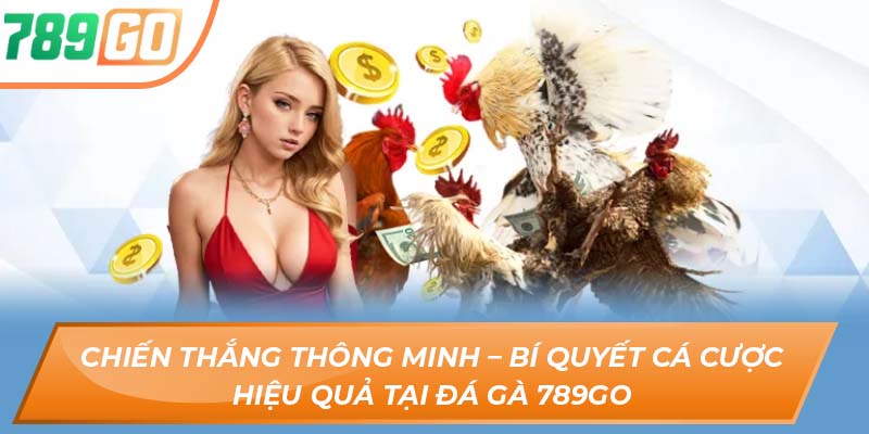 Trải Nghiệm Đỉnh Cao Cùng Nền Tảng Sàn Đấu Đá Gà 789GO 4 Chiến thắng thông minh – Bí quyết cá cược hiệu quả tại đá gà 789GO