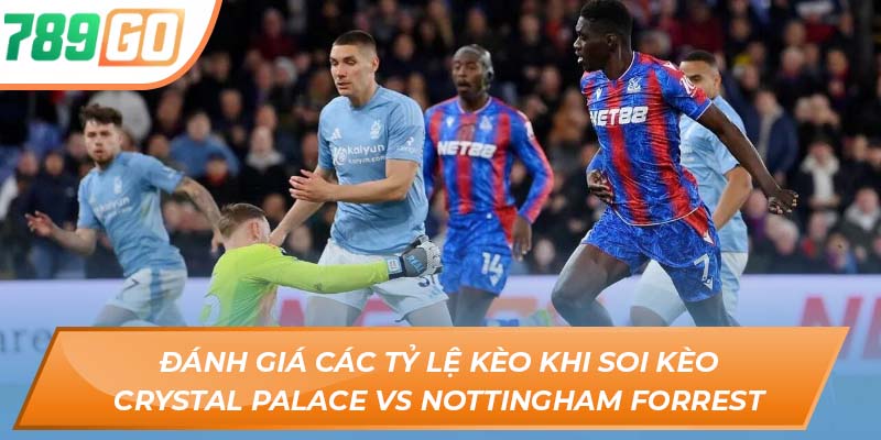 Soi Kèo Crystal Palace Vs Nottingham Forest - Chi Tiết Tại 789GO 3 Đánh giá các tỷ lệ kèo khi soi kèo Crystal Palace vs Nottingham Forrest