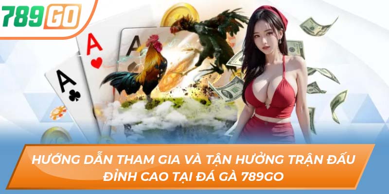 Trải Nghiệm Đỉnh Cao Cùng Nền Tảng Sàn Đấu Đá Gà 789GO 2 Hướng dẫn tham gia và tận hưởng trận đấu đỉnh cao tại đá gà 789GO