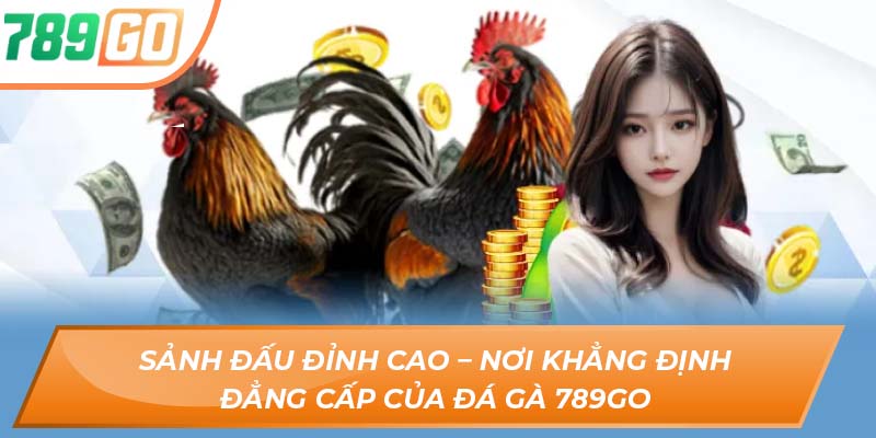 Trải Nghiệm Đỉnh Cao Cùng Nền Tảng Sàn Đấu Đá Gà 789GO 3 Sảnh đấu đỉnh cao – Nơi khẳng định đẳng cấp của đá gà 789GO
