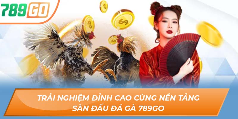 Trải Nghiệm Đỉnh Cao Cùng Nền Tảng Sàn Đấu Đá Gà 789GO